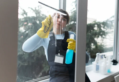 Nettoyage de vitres intérieures et extérieures à Lespinasse
